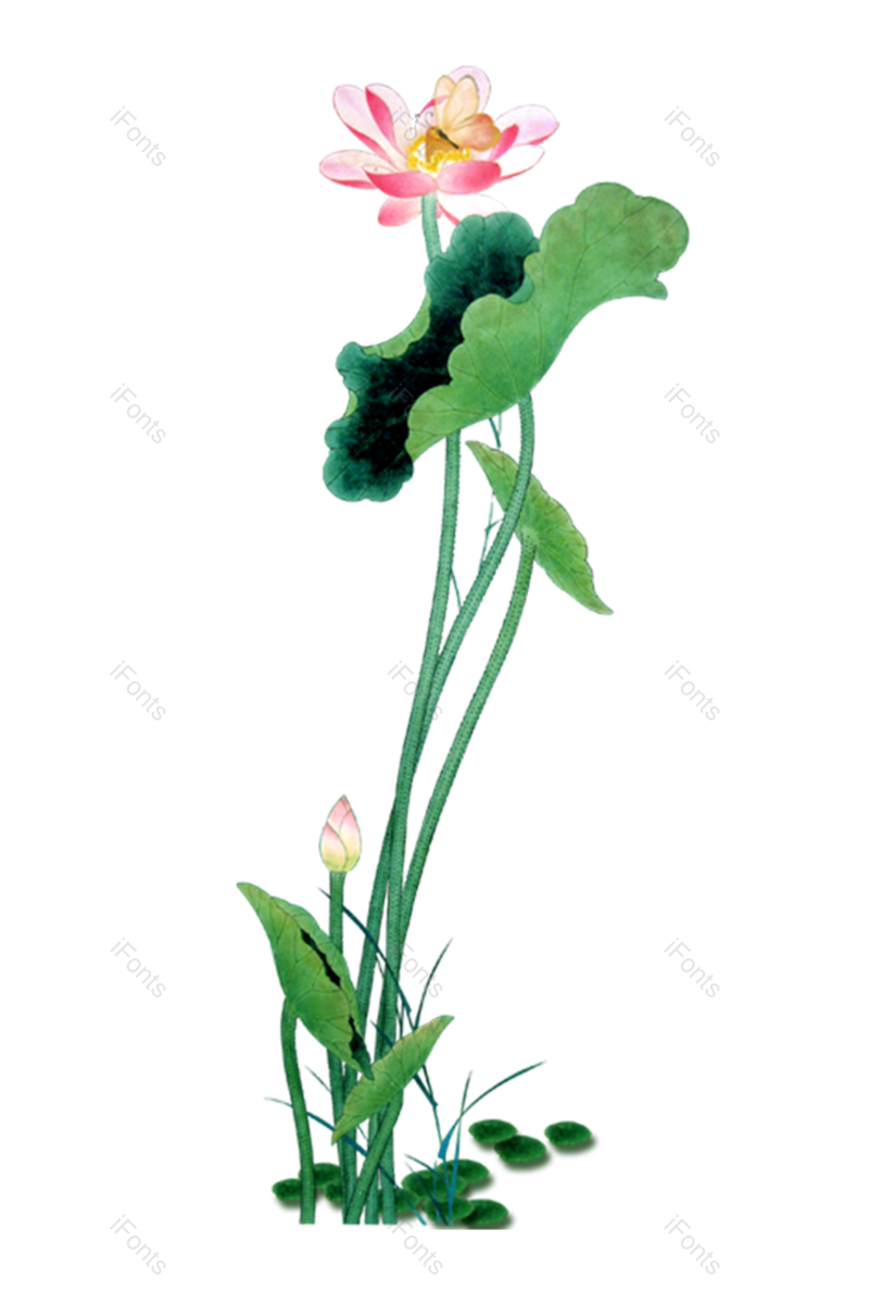 花卉图片,水彩元素,古风PNG,植物免抠素材